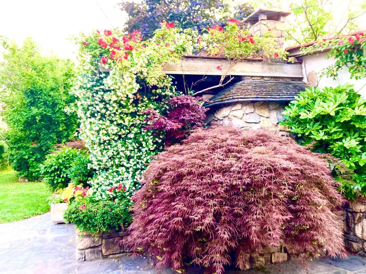 Tuscany To Love - Holiday Home - Casa Vacanze Pieve a Nievole Exteriör bild